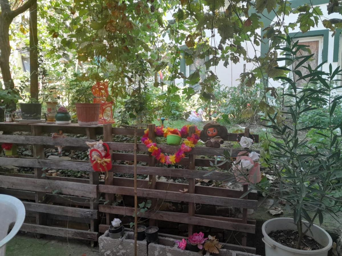 Bed and Breakfast Adem'S Cozy Terrace Retreat Скопье Экстерьер фото